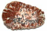 Polished Agate Replaced Barite Nodule Half - Utah #373492-1